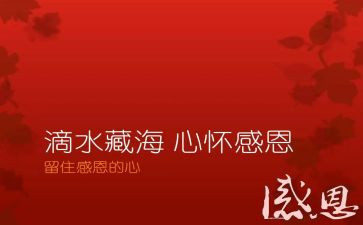感恩教师主题活动方案5篇