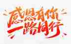 感恩演讲稿800字5篇