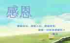 感恩的作文200字5篇