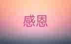 我感激的作文模板7篇