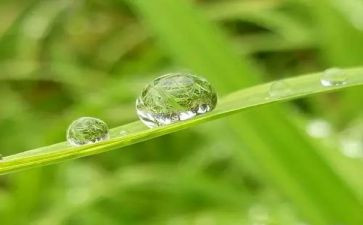 我心灵的甘露作文优质7篇