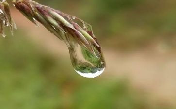 我心灵的甘露作文800字优秀6篇