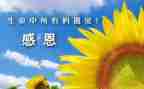 感谢老师作文200字8篇