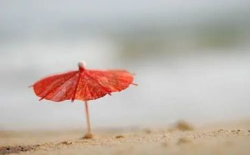 告别母校作文400字8篇