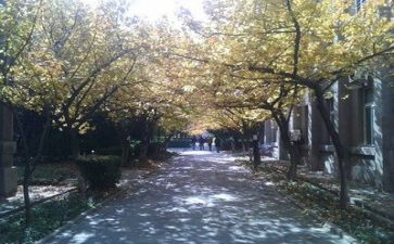 高校教师年度总结个人总结最新8篇