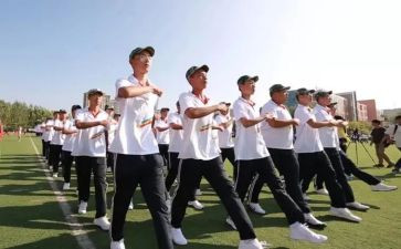 高一物理组工作总结推荐6篇