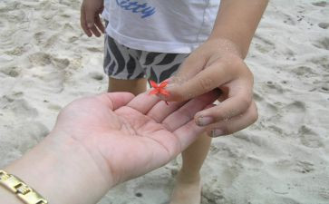 《给予》400字作文推荐8篇