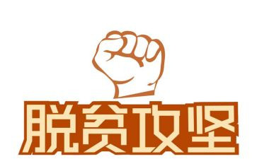 百日攻坚工作总结8篇