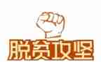 百日攻坚工作总结8篇