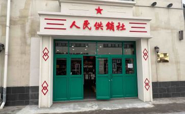 2024年供销社工作计划6篇