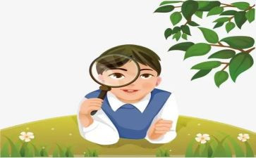 植物观察作文300字8篇