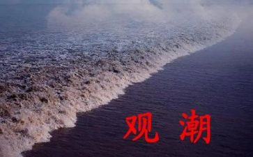 观潮优秀教案精选5篇