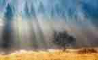 关于描写光的作文最新5篇