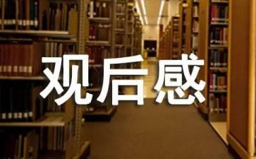 心理教育片观后感精选5篇