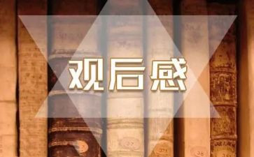 读《我和我的祖国》观后感精选8篇