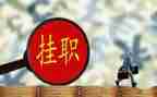 京蒙挂职干部个人总结5篇