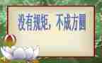 无规矩不成方圆800字作文7篇