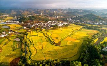 贵州的雪作文8篇