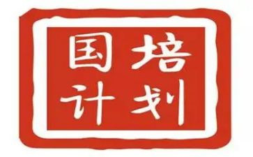 2024年国培计划个人研修计划最新5篇