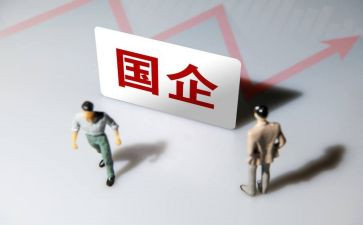 国企试用期的工作总结7篇