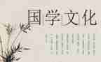 国学班心得体会通用7篇