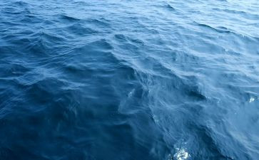 海务经理述职报告优秀7篇