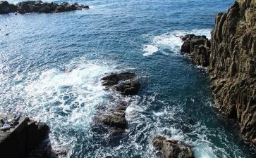 海读教学心得体会最新6篇
