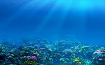 海底两万里心得体会800字7篇