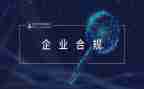 2024年保险合规工作总结5篇