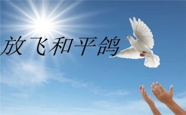 和平与战争作文5篇