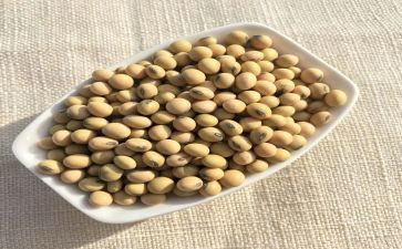 中班炒黄豆教案5篇