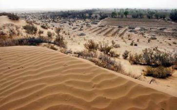 英语环境作文推荐8篇