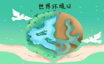 2024年环境日活动方案8篇
