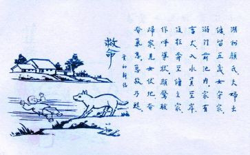 爱护生命演讲稿7篇