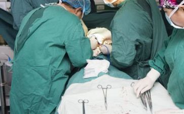 今年度护士个人总结最新5篇