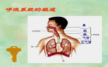 呼吸内科护士年终总结5篇