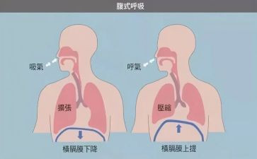 呼吸科年终护士个人总结8篇
