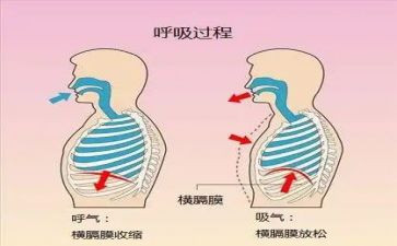 2024年呼吸科年终总结7篇