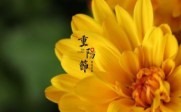 佳节的演讲稿8篇