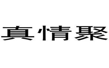 真情流露类的作文精选6篇