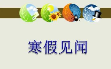 假期见闻作文通用7篇