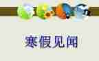 假期见闻作文通用7篇