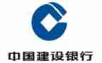 建行高级柜员工作总结7篇