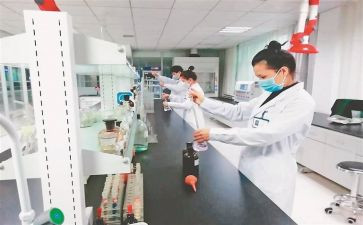 各检验年度工作总结8篇