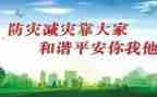 开展防灾减灾宣传活动总结5篇