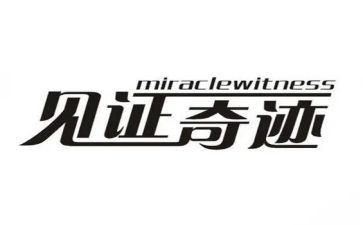 《见证》作文参考5篇