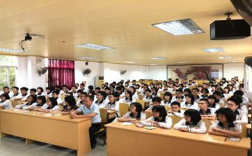 2024春小学政教处工作计划6篇