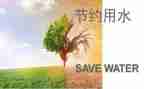 讲节约的演讲稿精选6篇