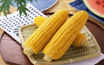 玉米,作文参考8篇