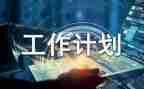 新计划员个人总结8篇